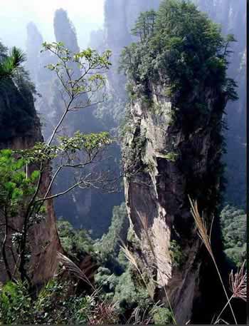長沙出發(fā)到張家界溶洞奇觀黃龍洞、國家森林公園、袁家界、峰林之王天子山三日游（早班）