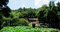 長(zhǎng)沙出發(fā)到花明樓、韶山、張家界國(guó)家森林公園、天門仙山國(guó)家森林公園四日游