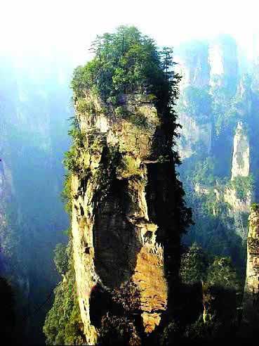 張家界國家地質(zhì)森林公園、黃石寨、金鞭溪休閑一日游